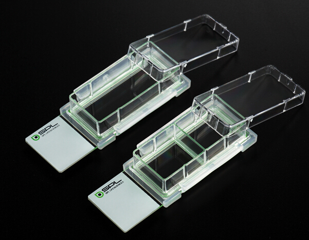 30108  2׼B(yng)䣬20.5-19ml͸Ʒ nSPLĲ